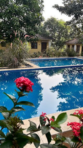 Photo from customer review