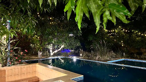 Photo from customer review